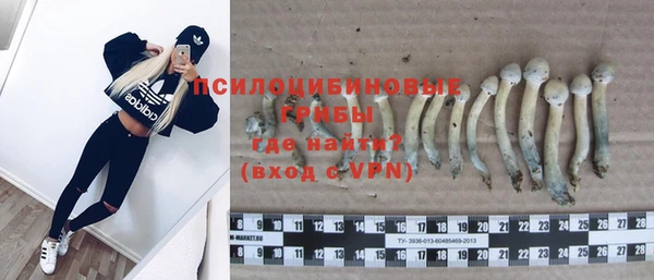синтетический гашиш Заволжск
