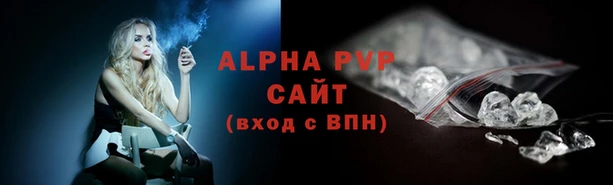 СК Зеленодольск
