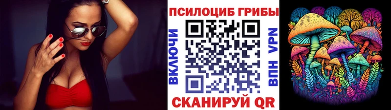 Псилоцибиновые грибы Cubensis  цены   Нальчик 