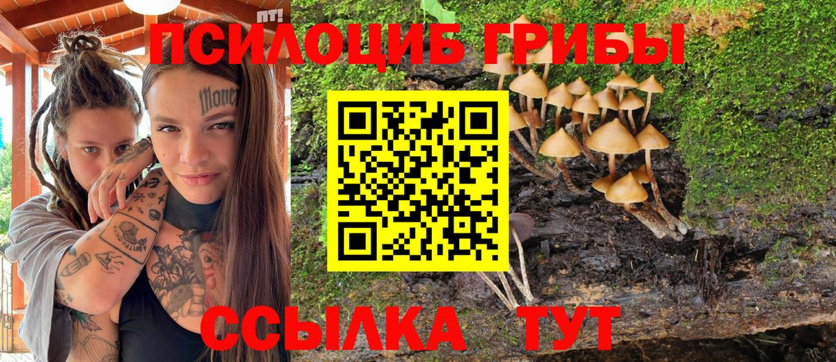 Галлюциногенные грибы мухоморы  Вход с VPN  Нальчик 