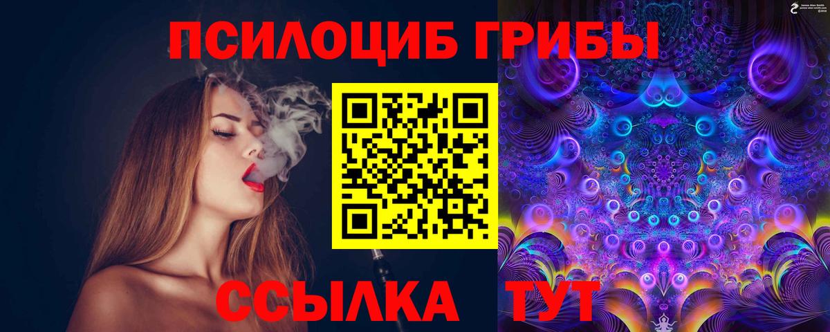 Псилоцибиновые грибы GOLDEN TEACHER Нальчик